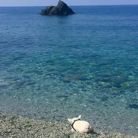 Apartment Romantic Nest Close To Cinque Terre, Sea View *